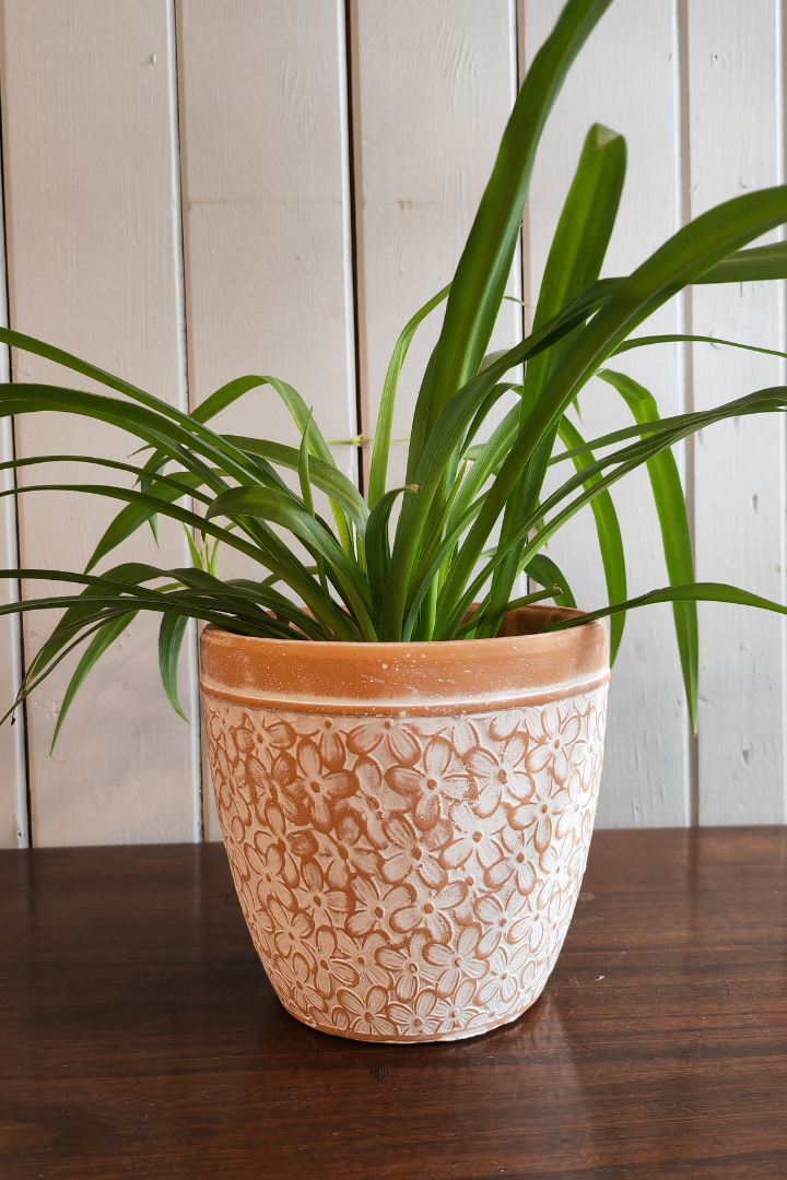 Ceramic pot - Lomaso