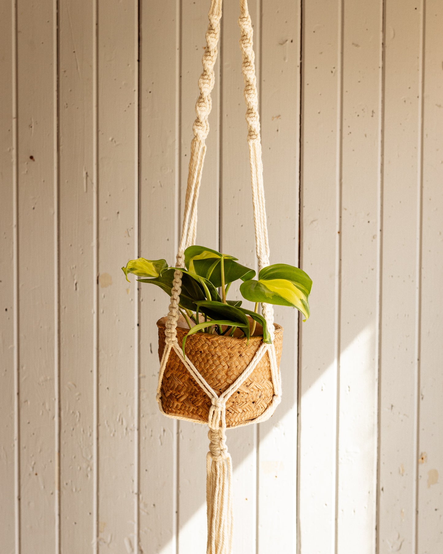 Cache-pot Suspendu "Alba"