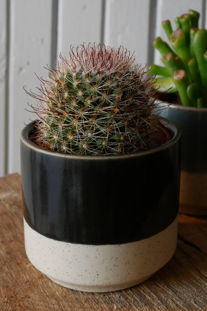 Ceramic pot - Miguel