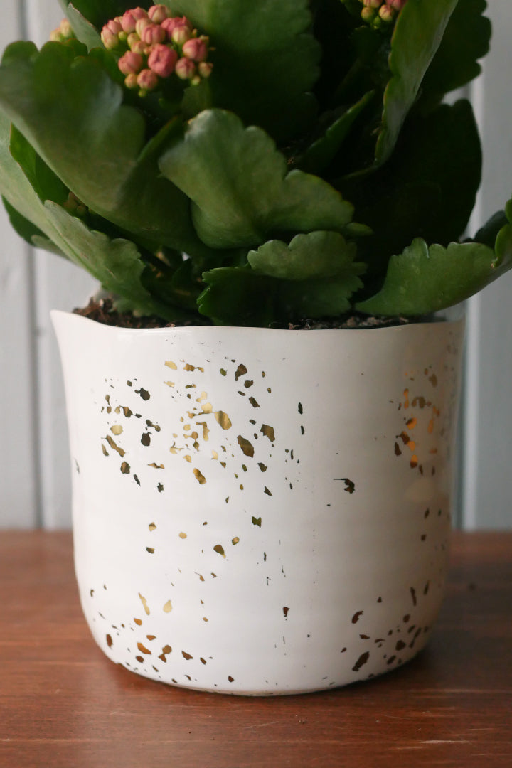 Ceramic pot - Solange