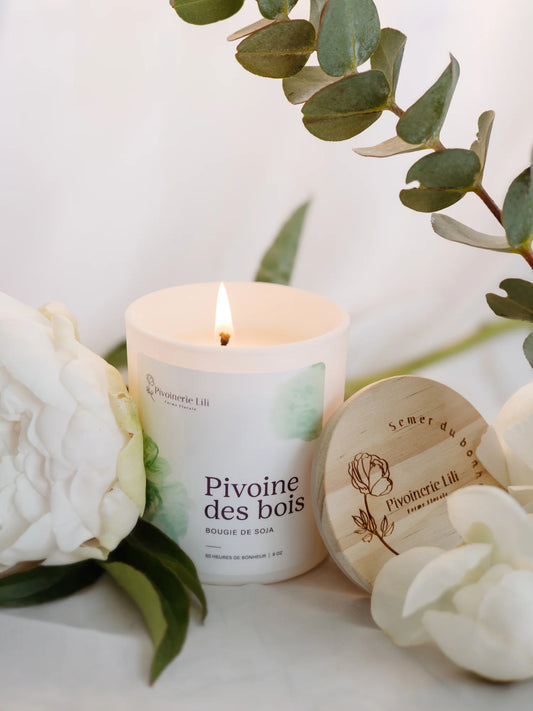 Bougie Pivoine des bois - Pivoinerie Lili