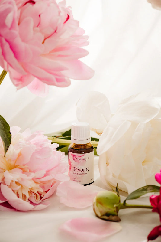 Huile parfumée Pivoine - Pivoinerie Lili