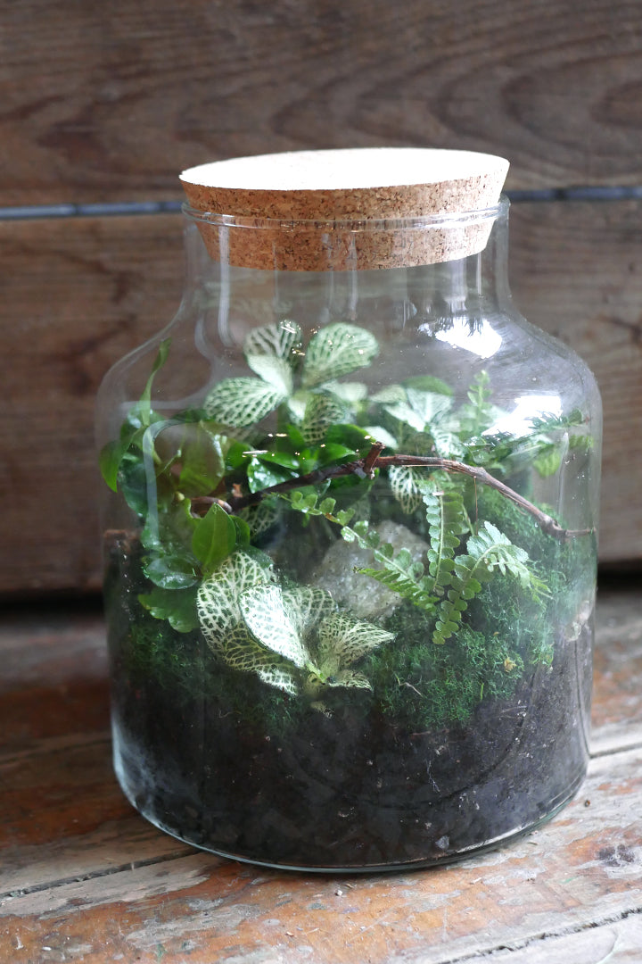 Atelier "Terrarium"