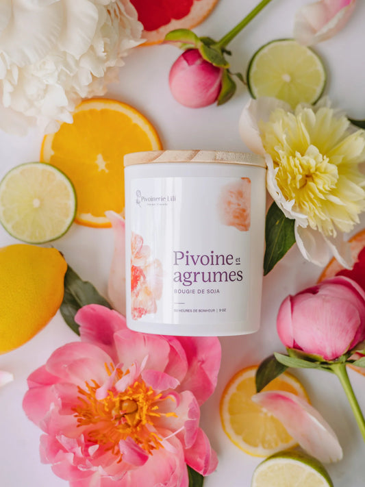 Bougie Pivoine & Agrumes - Pivoinerie Lili